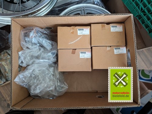 PXL_20240418_113918424